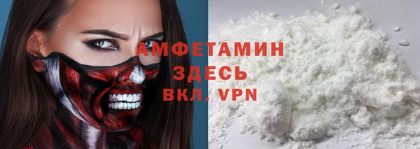 сатива Кукмор