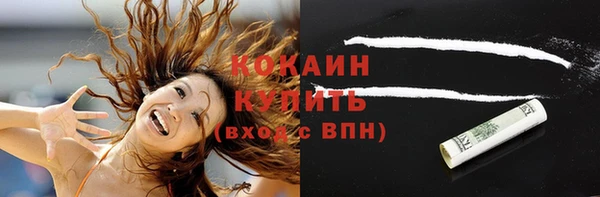 сатива Кукмор