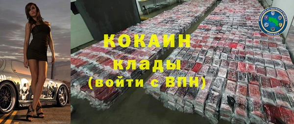 сатива Кукмор