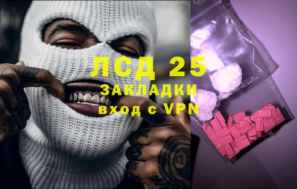 сатива Кукмор